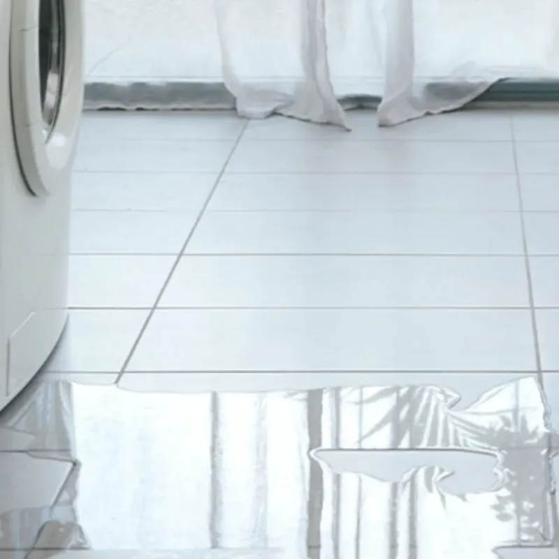 Appliance Leak Cleanup in Gilroy, CA