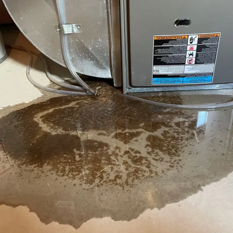 Pipe Burst and Leak Restoration in Gilroy, CA